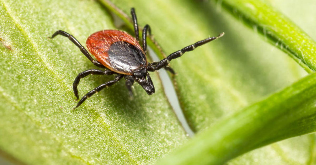 Роспотребнадзор сообщил, что в некоторых регион...