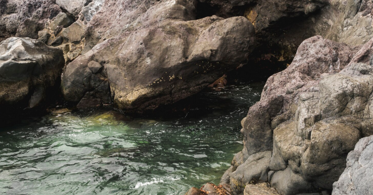 Биофизики изучили новый «кирпичик жизни» у архей из глубоководных гидротерм Российские ученые исследовали белок GACE1337 ар...