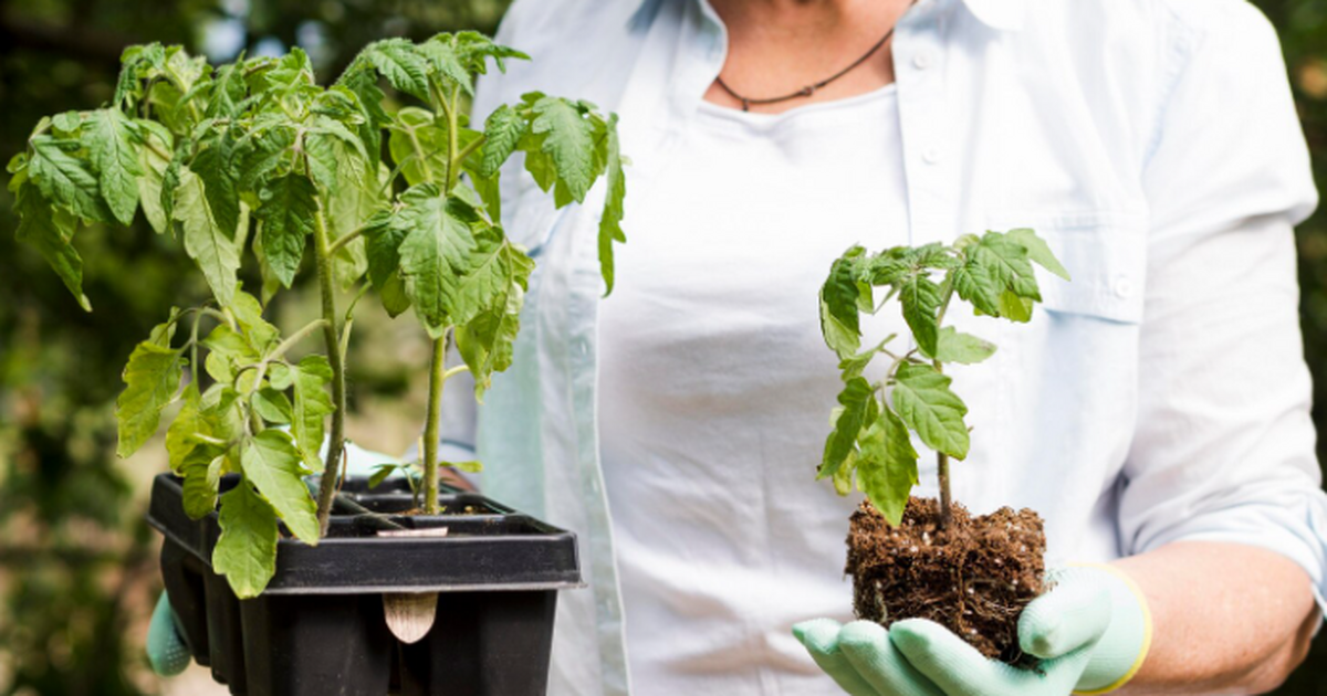 Учёные НГТУ разработали биоразлагаемый гель «Пр...