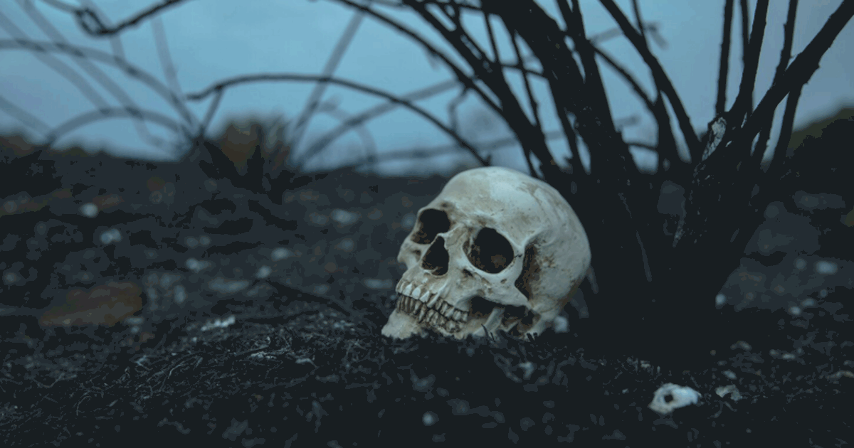 Учёные НГУ исследовали древние черепа с помощью...