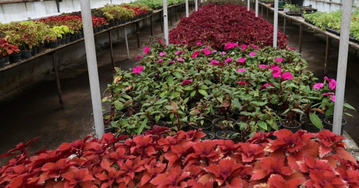 В 2026 году в Самаре планируют оформить около 3...