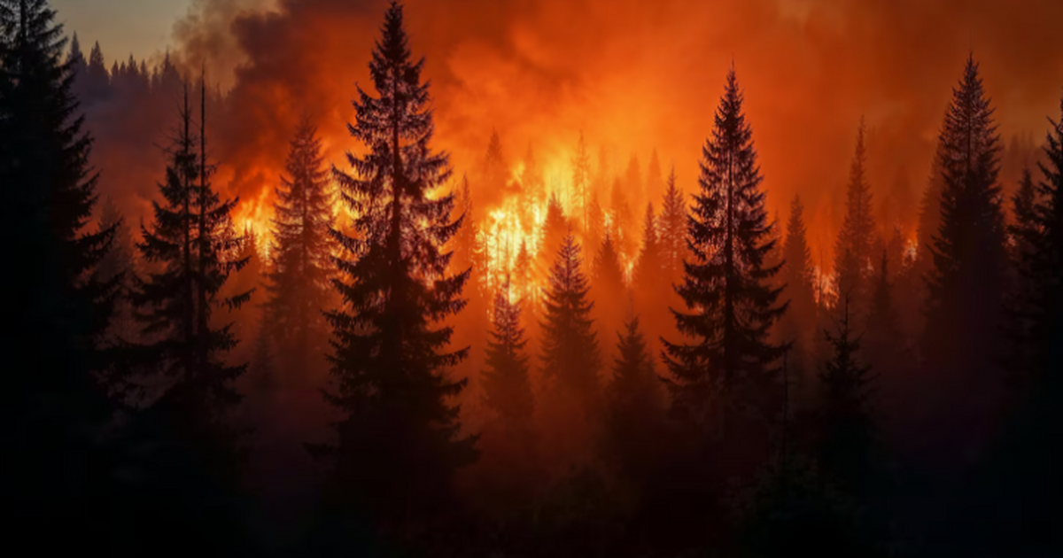 Ученые ПГУ разработали программу с искусственны...