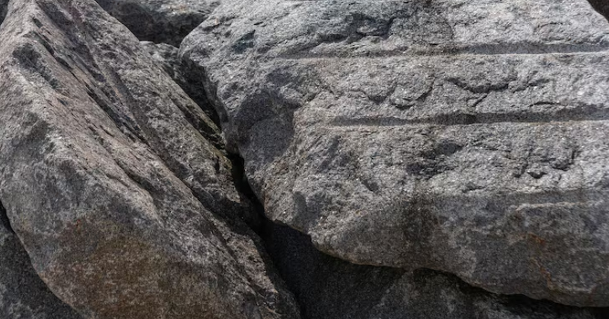 Исследование Nature Communications показало, чт...