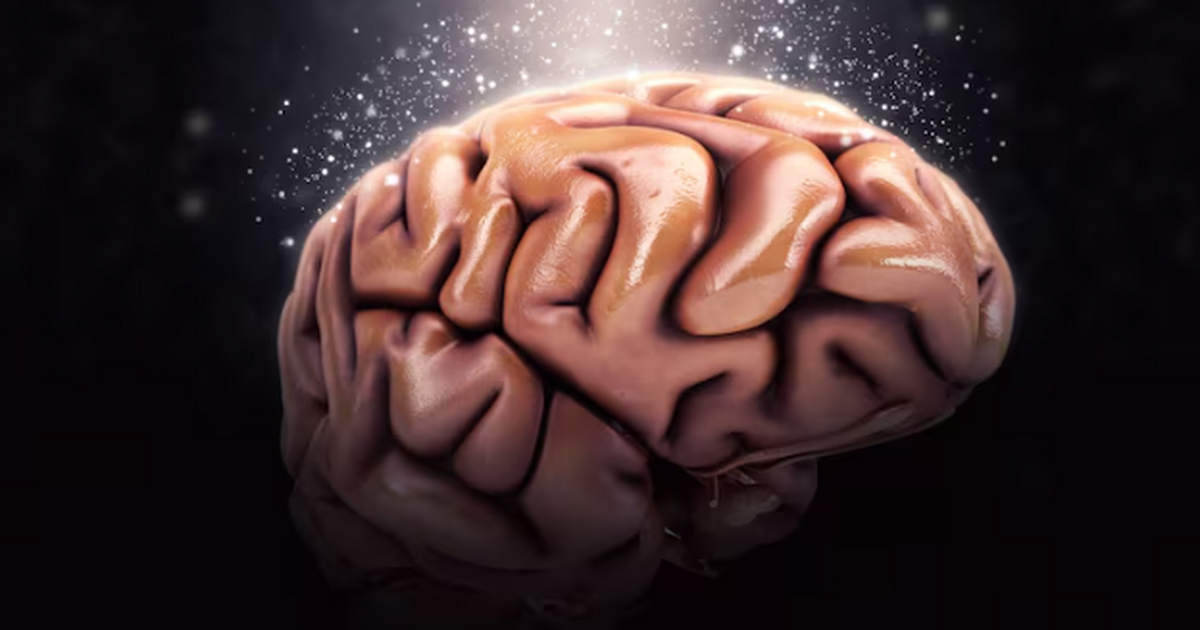 Учёные обнаружили, что кишечные бактерии способ...