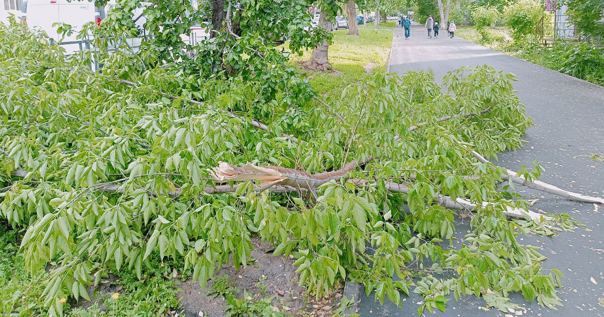 Глава СК России потребовал доклад по делу о гиб...