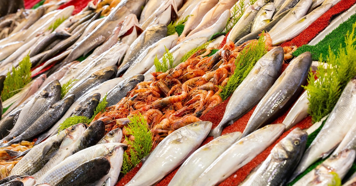 Роспотребнадзор Самарской области выявил нарушения в рыбе и морепродуктах За нарушения санитарных требований и положений ...
