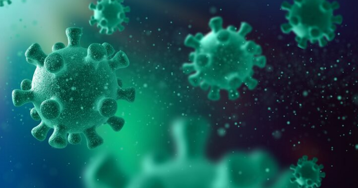 Роспотребнадзор сообщил, что завозные случаи ви...