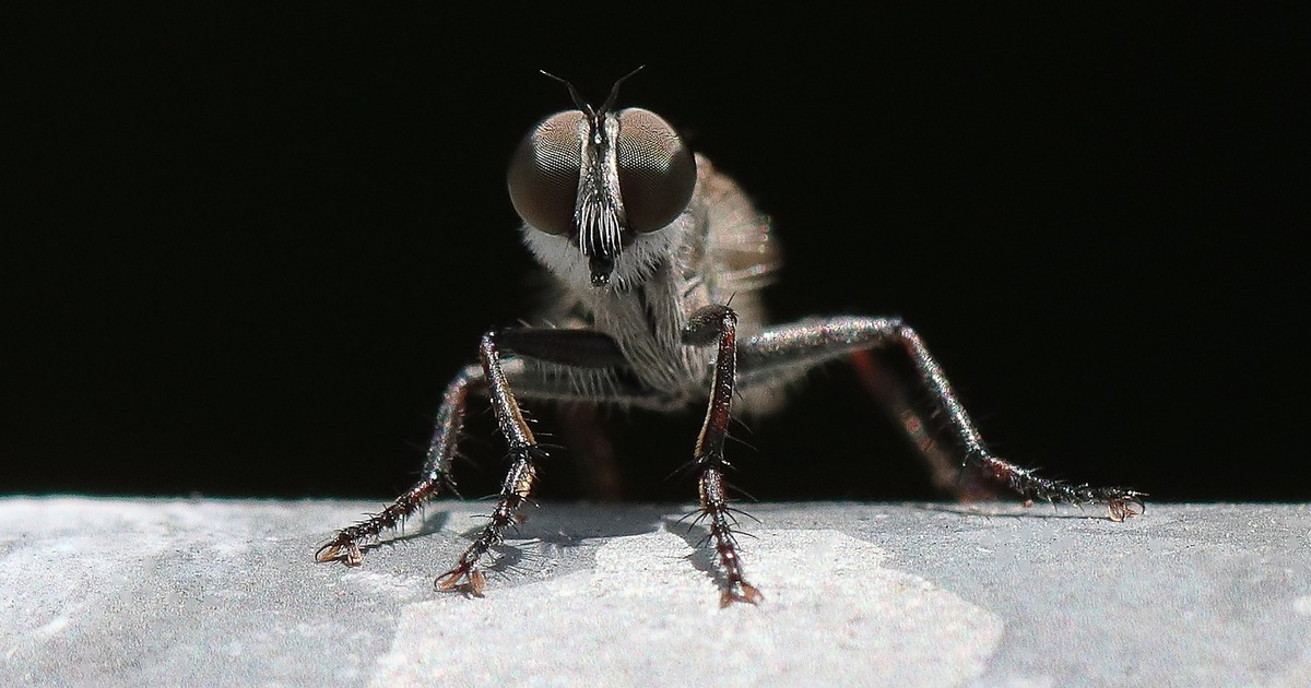 Такие выводы были сделаны после космических экс...