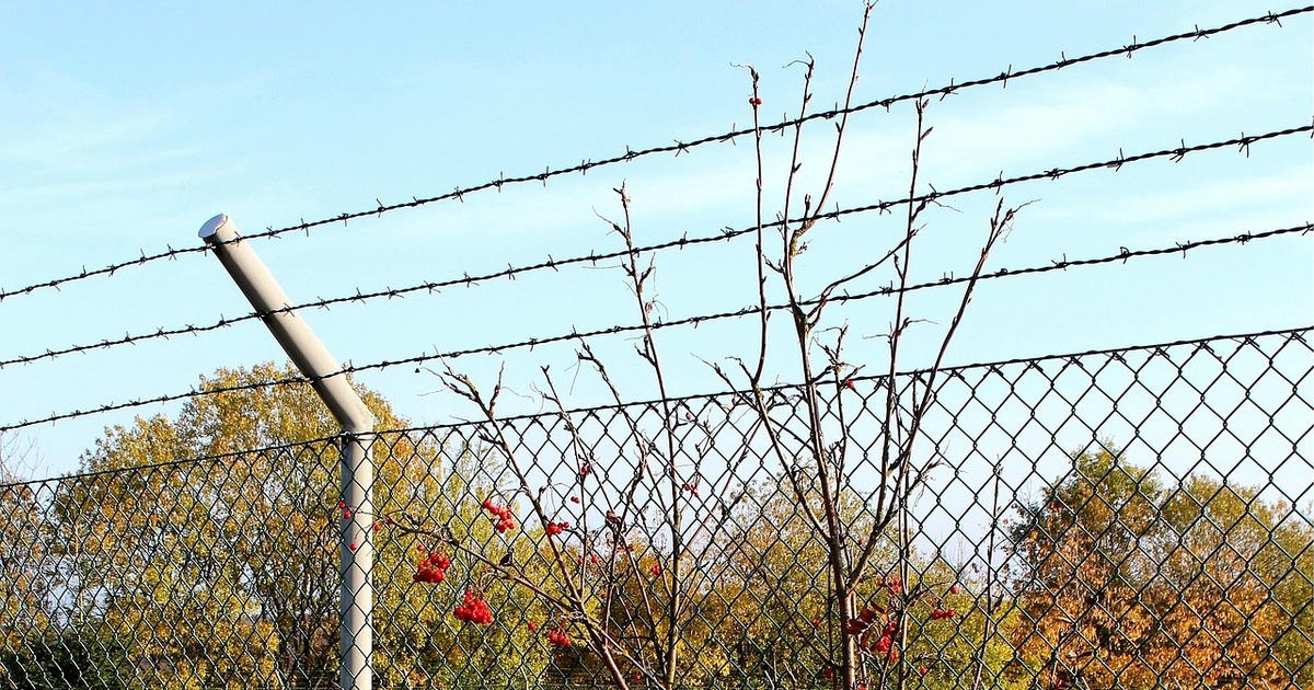 Вторая пока остается под стражей