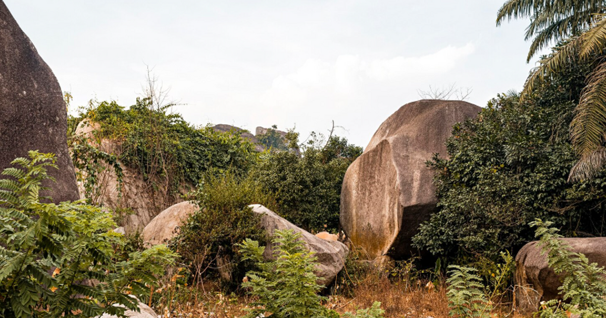 Археологи из НовГУ установили координаты и сост...