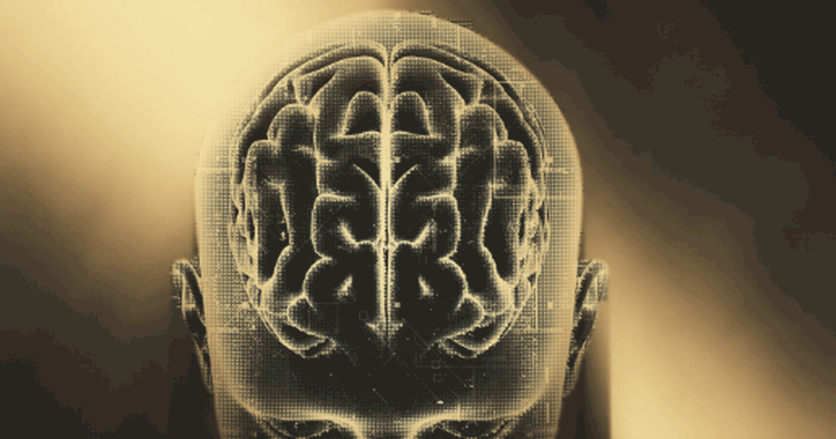 Исследование в NeuroImage показало, что гиппока...