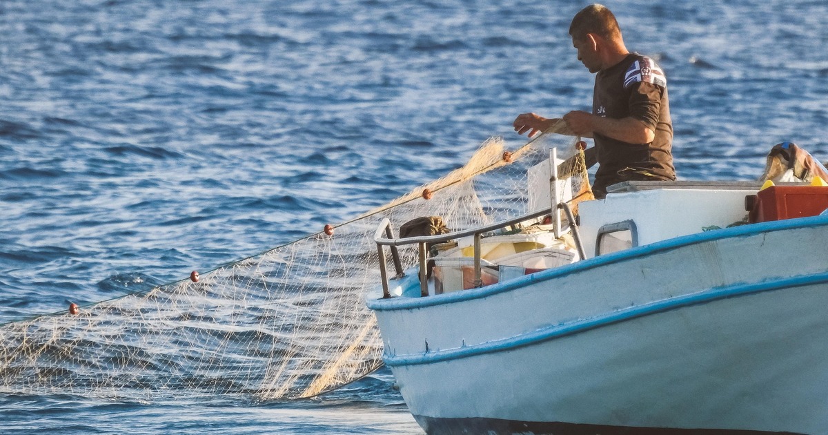 Самарская область присоединилась к экологическо...