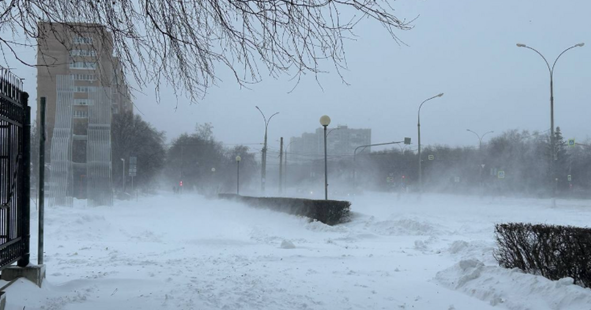 Мы теряем русскую зиму: Вильфанд объяснил, почему снег больше не приходит вовремя Климат сломал календарь: зима больше не та 2–3 ...