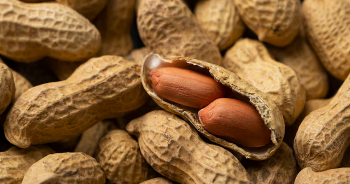 Учёные Маастрихтского университета сообщили, чт...