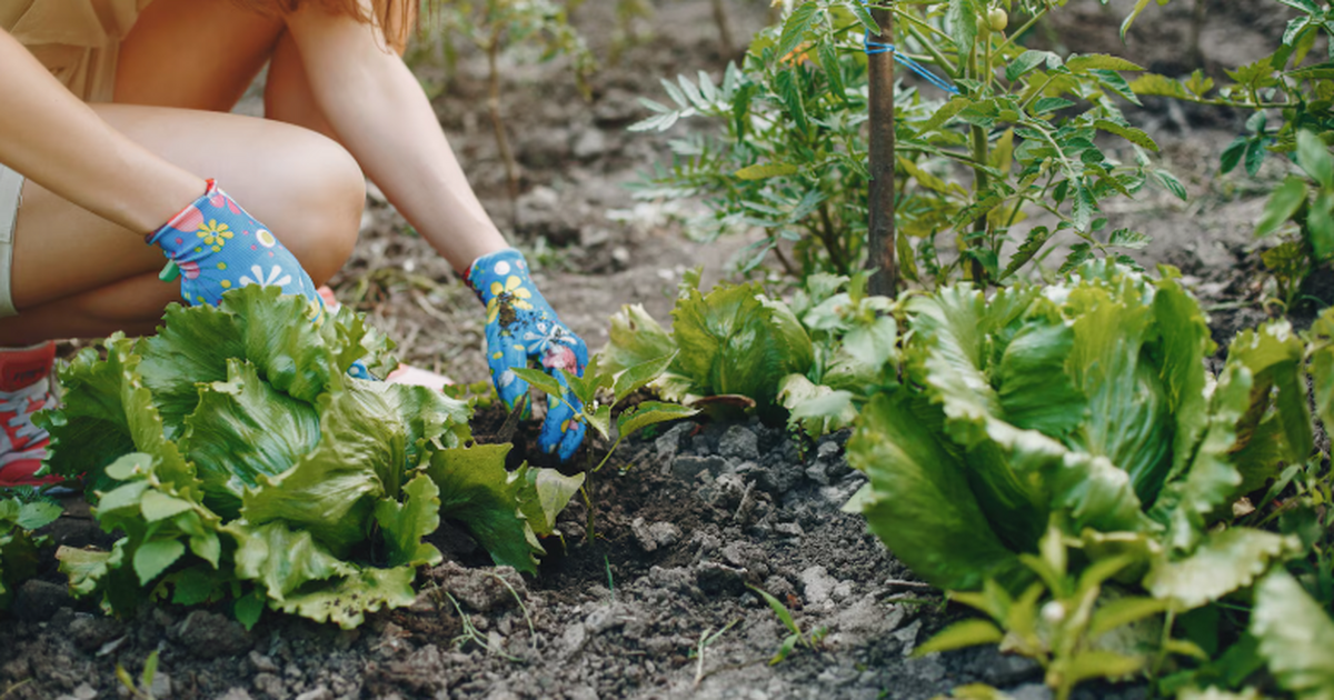 Психиатр Сергей Литков объяснил, может ли работ...