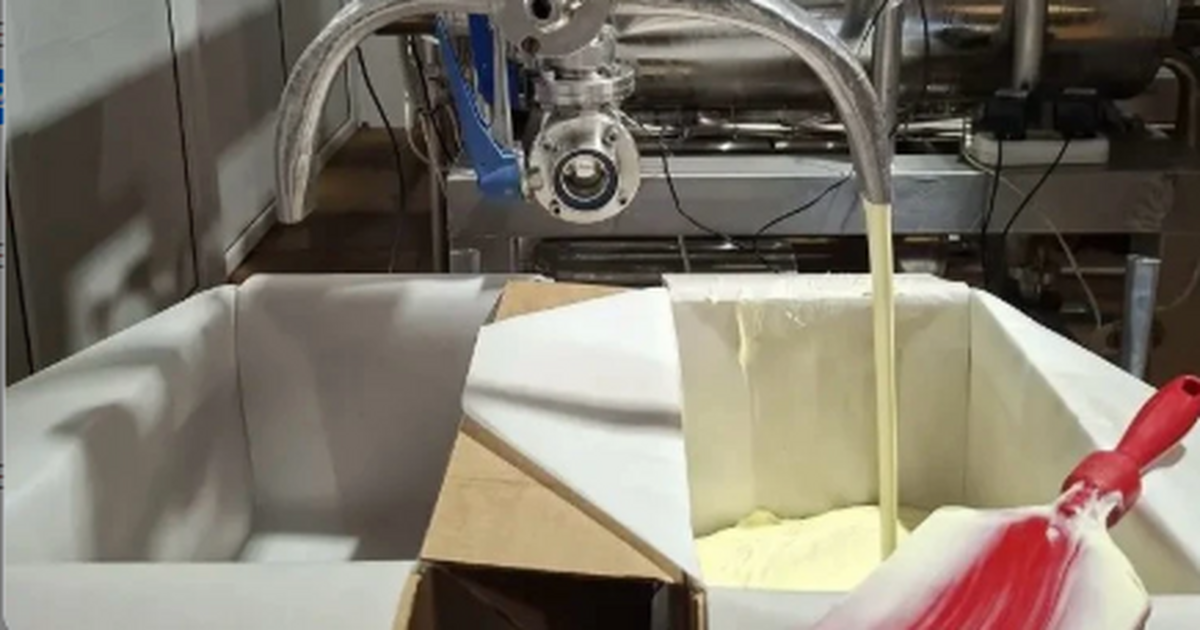 В Самарской области ОПГ похитила 5,5 тонны масла с завода и пойдет под суд Работники завода систематически выносили продукцию