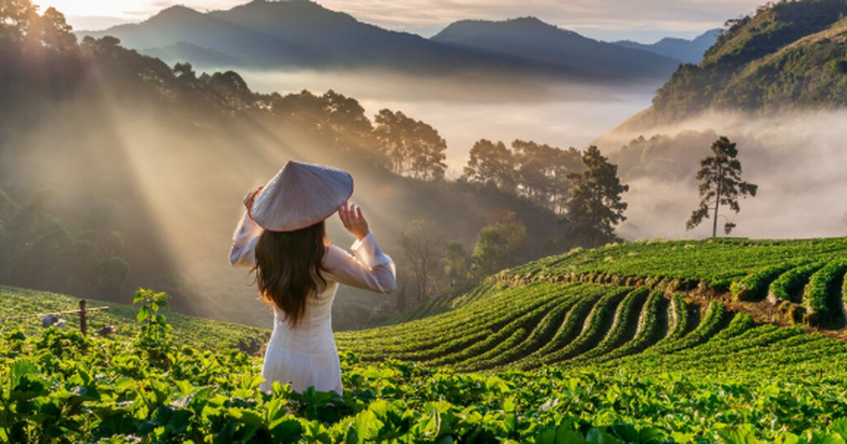 Путешественникам из России предложили бюджетные...