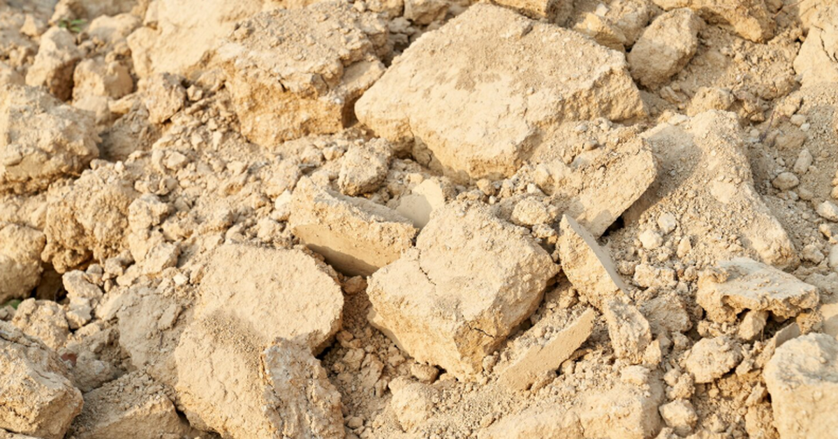 Международная команда палеонтологов обнаружила ...