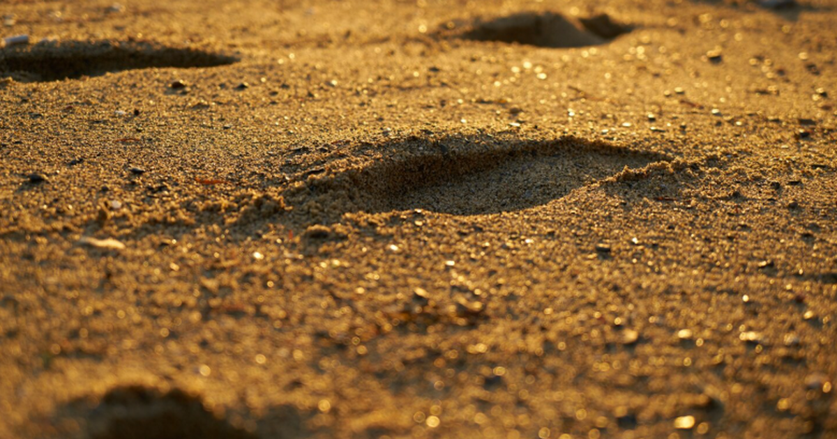 Группа ученых провела съёмку дронами и взяла пр...