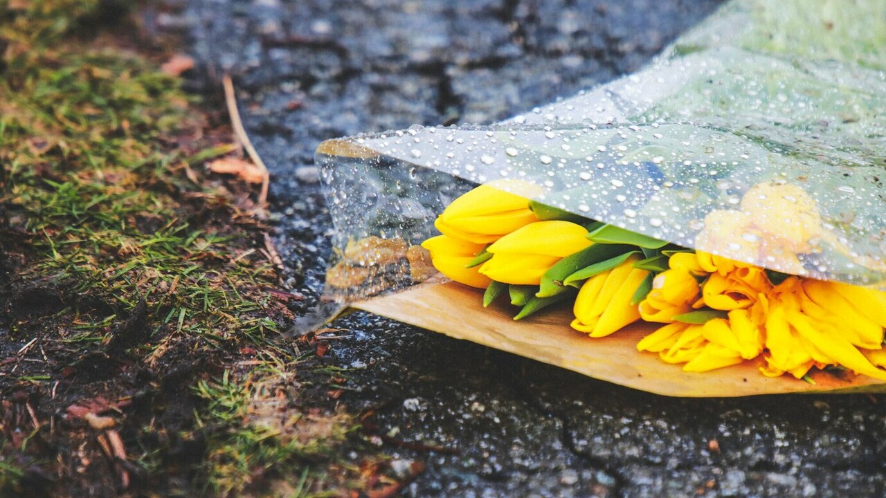 Все начнется с 12 августа: В Самаре начинается сезон проливных прохладных дождей В Самарской области наблюдается тенденция к пох...
