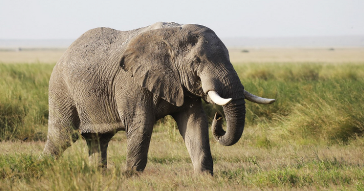Ученые из Германии показали, как образ жизни пр...