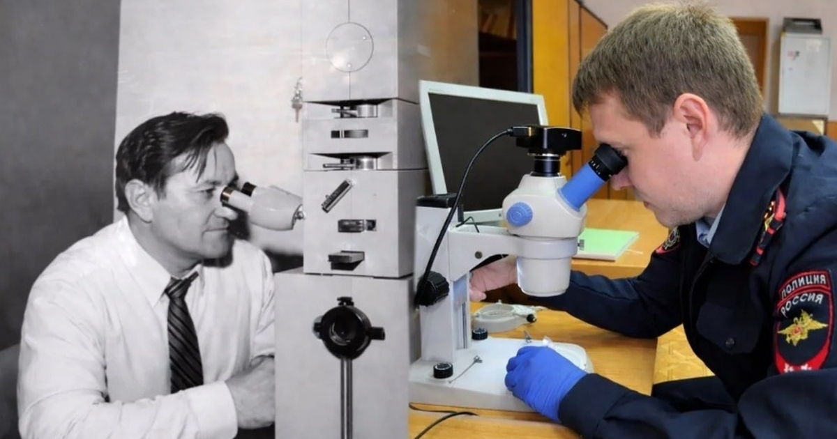 Эти специалисты участвуют в расследовании практ...