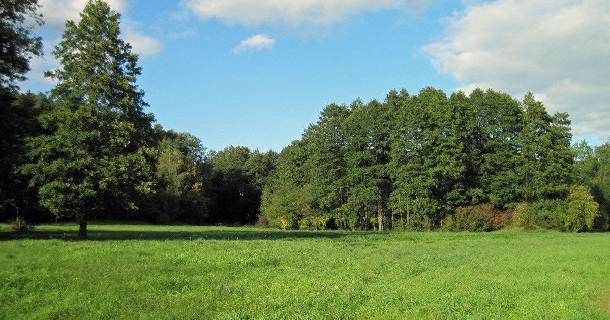 Имущество реализуется в рамках процедуры банкро...