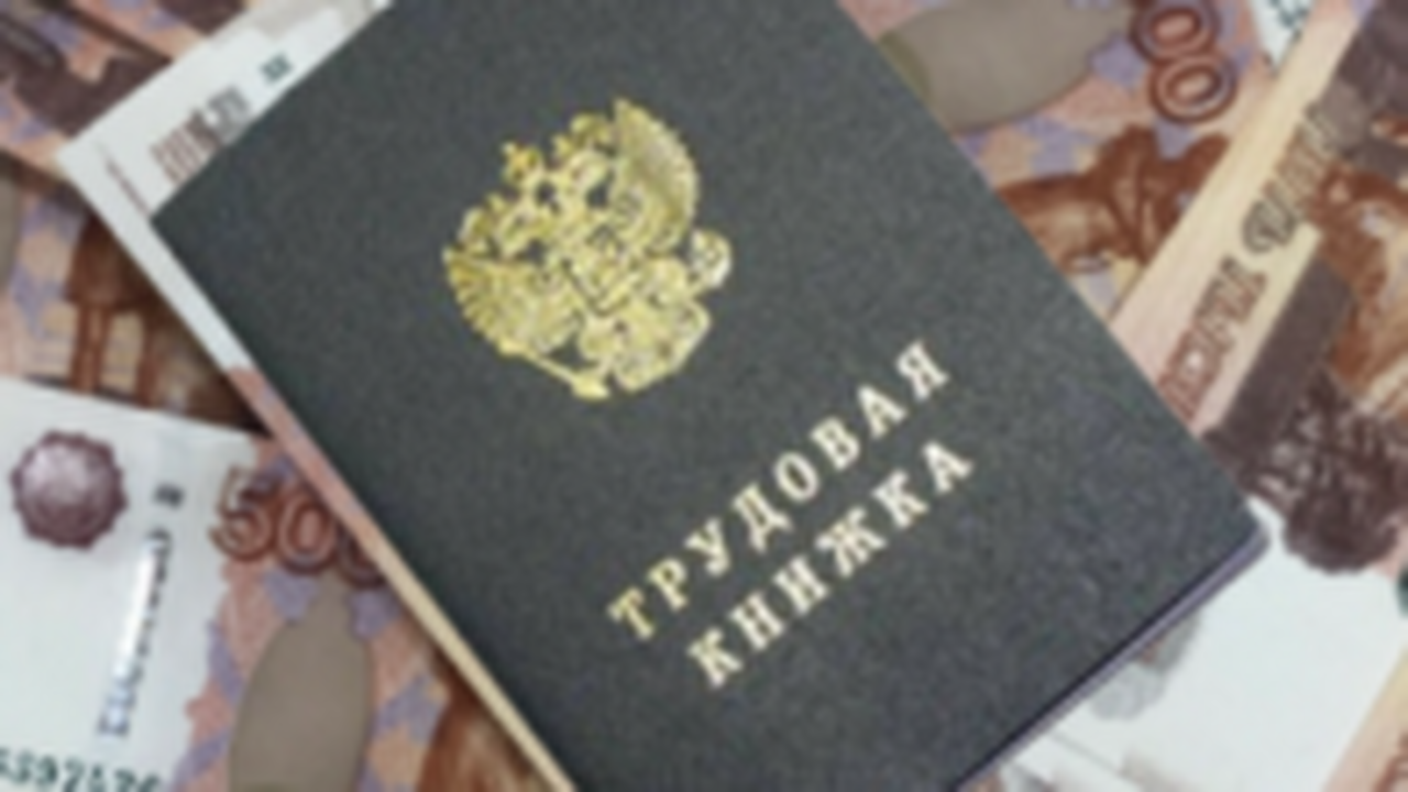 В Самаре компания не выплатила 93 сотрудникам зарплату на сумму 3,5 млн рублей Прокуратура возбудила дело по статье администра...