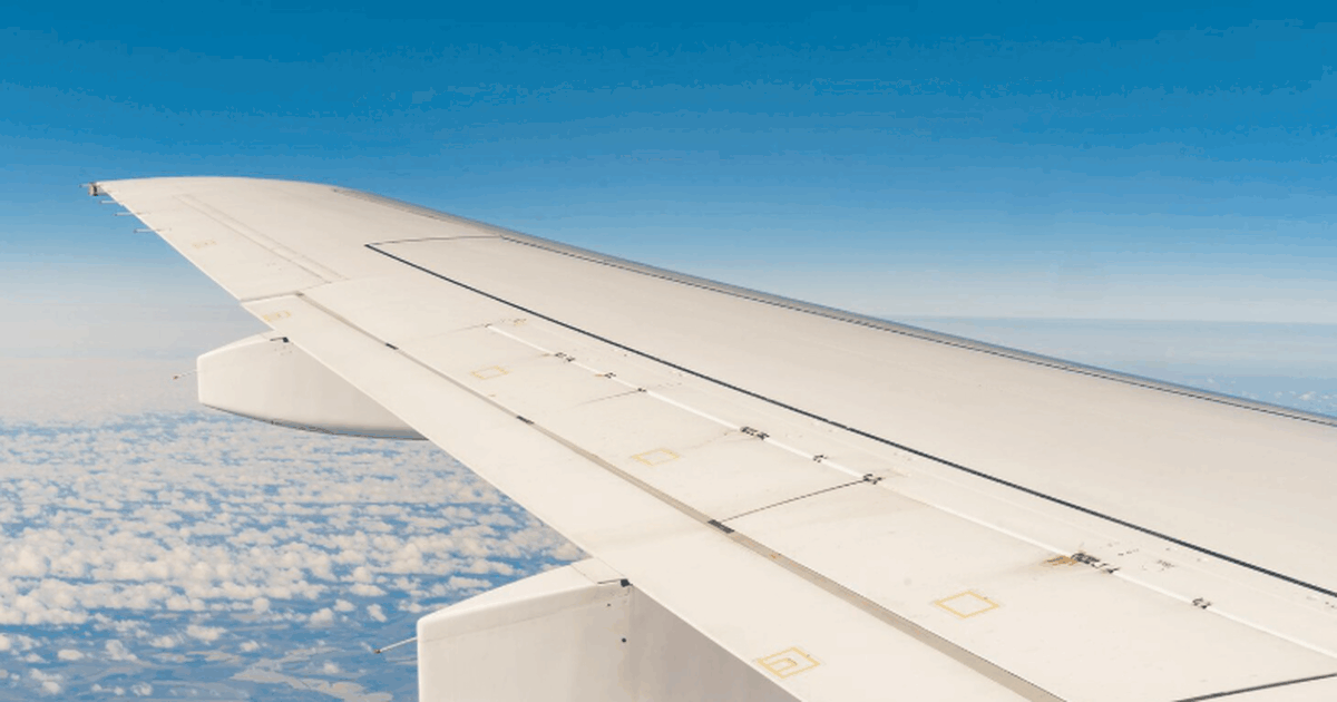 EgyptAir предложила перелет в Шарм-эль-Шейх из Домодедово за 17 тысяч рублей EgyptAir снизила стоимость перелета из Москвы в...