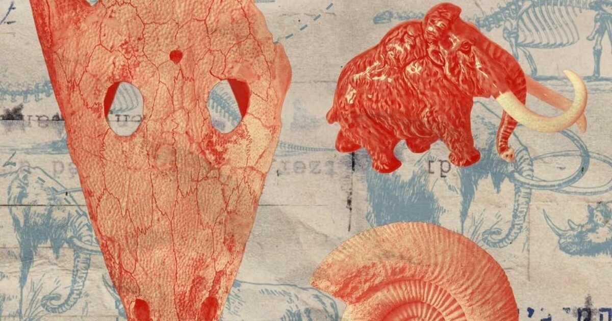 В фондах музея хранится богатая палеонтологичес...