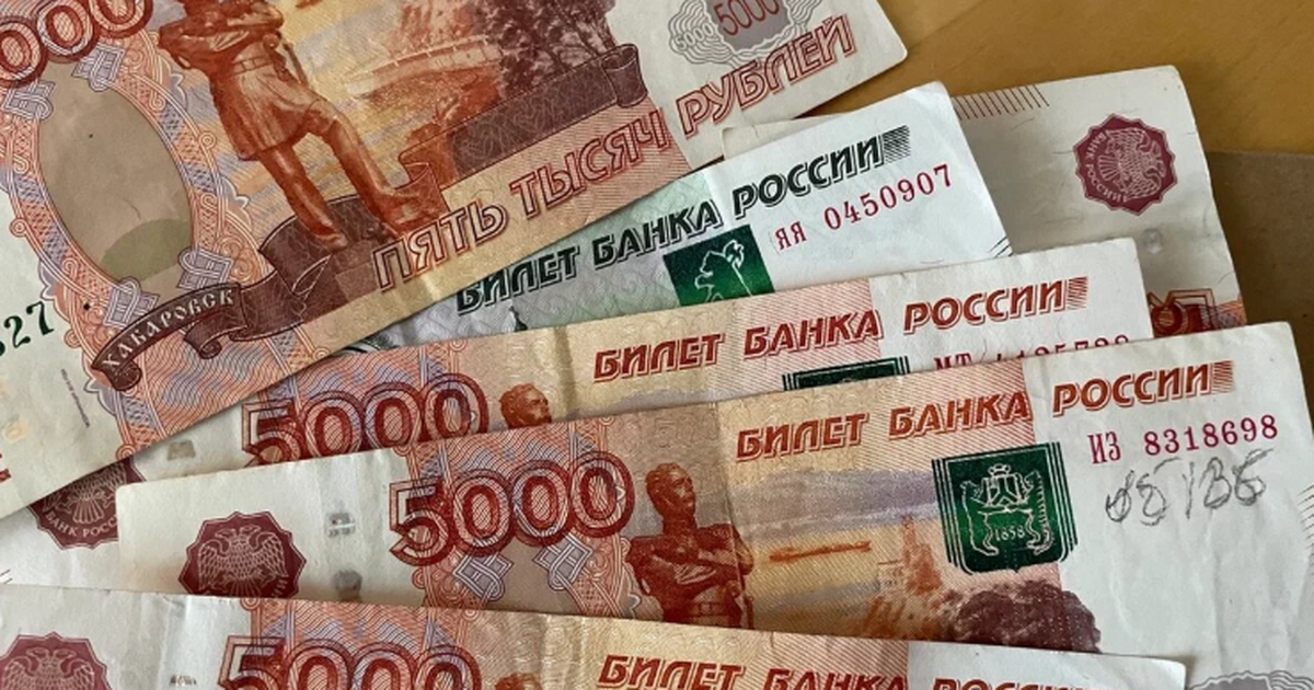 1314 рублей за уход: ЛДПР хочет поднять до 27 т...