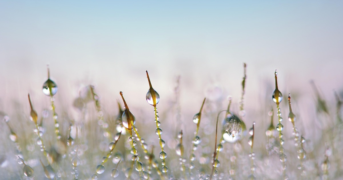 Эксперимент японских ученых увенчался успехом