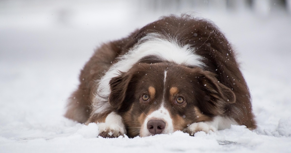 Необходимость стандарта обусловлена ростом числ...