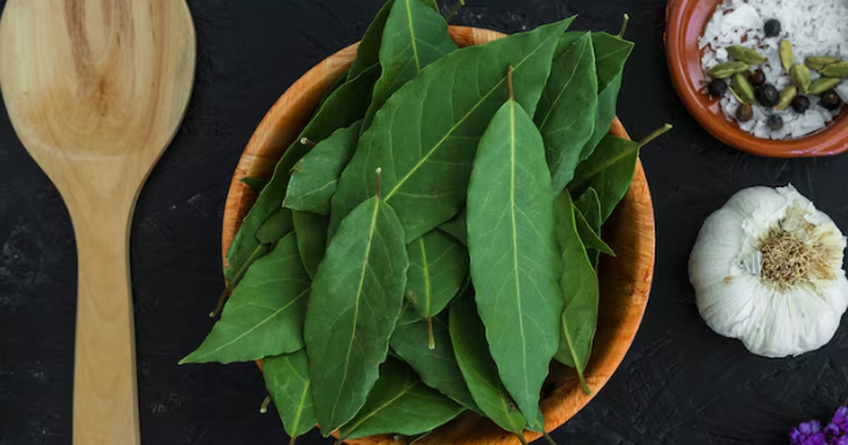 Магический лайфхак: как укрепить волосы с помощью обычного лаврового листа Как простой лавровый лист превращает волосы в м...