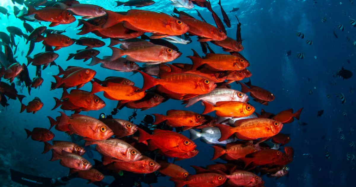 Исследование, опубликованное в Nature, показало...