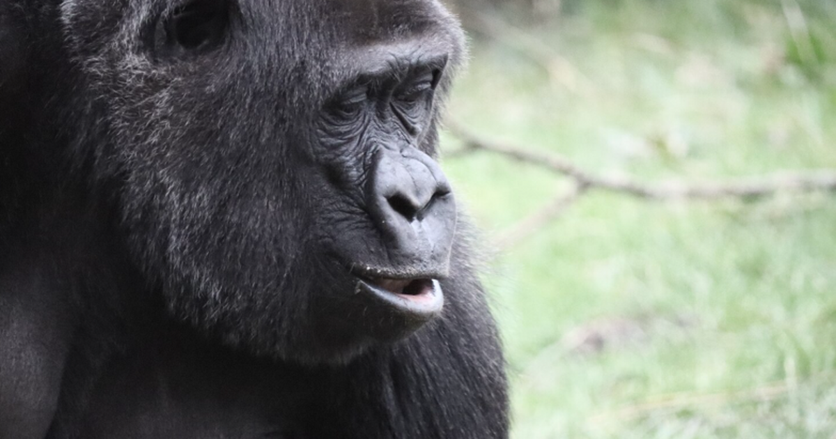 Учёные из Калифорнийского университета в Беркли...