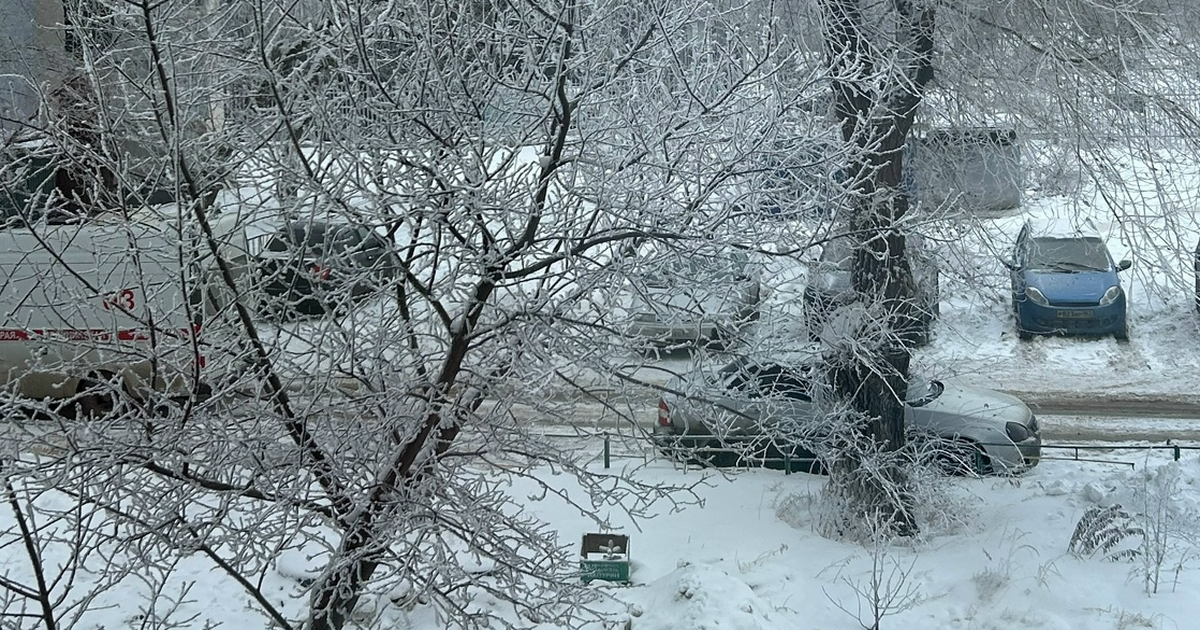 Морозы до −32: Самарскую область накрывает пик ...