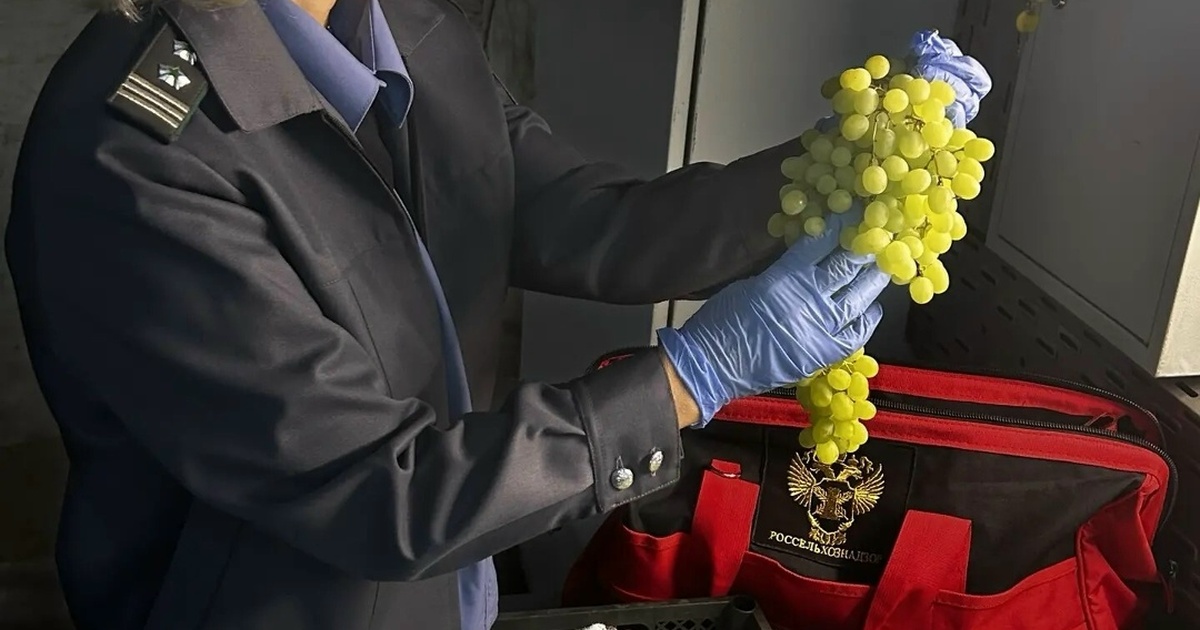 Ввоз такой продукции разрешается после прохожде...