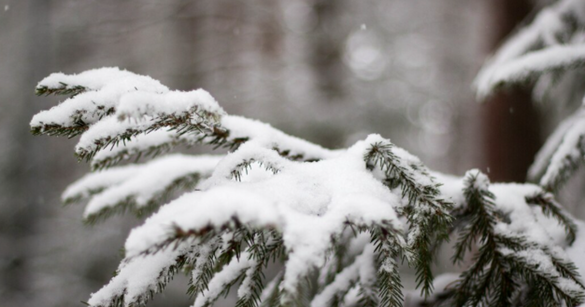 Весна опоздает: снег держит Москву в холоде Уст...