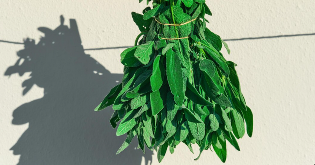 Пучок лавровых листьев у кровати: простой секре...