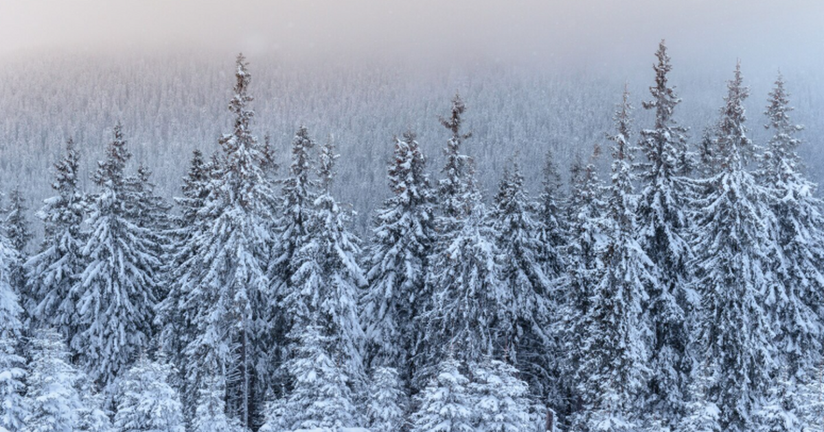 Альпинист усомнился в версии сына Усольцевой о побеге семьи из тайги Сын пропавшей Ирины Усольцевой заявил, что увер...