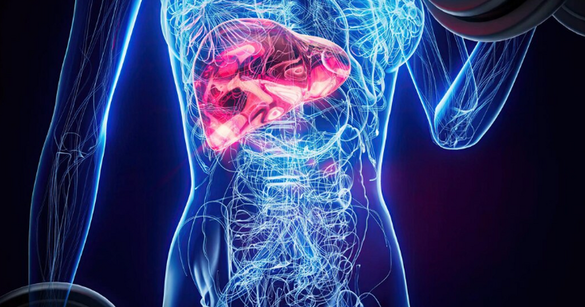 Новое исследование, опубликованное в журнале En...