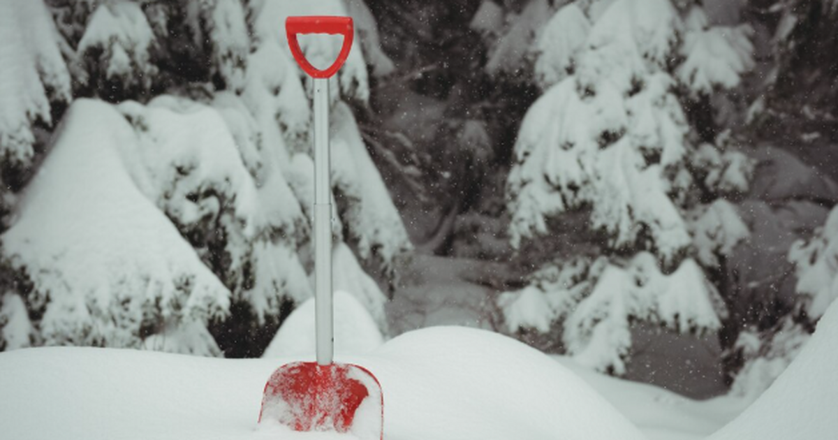 Синоптик Вильфанд: На следующей неделе снег может накрыть 92% РФ Снег накроет почти всю Россию: к чему готовитьс...