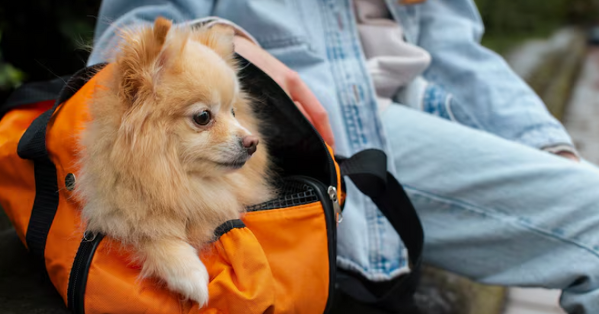 В России в 2026 году планируется утвердить новы...