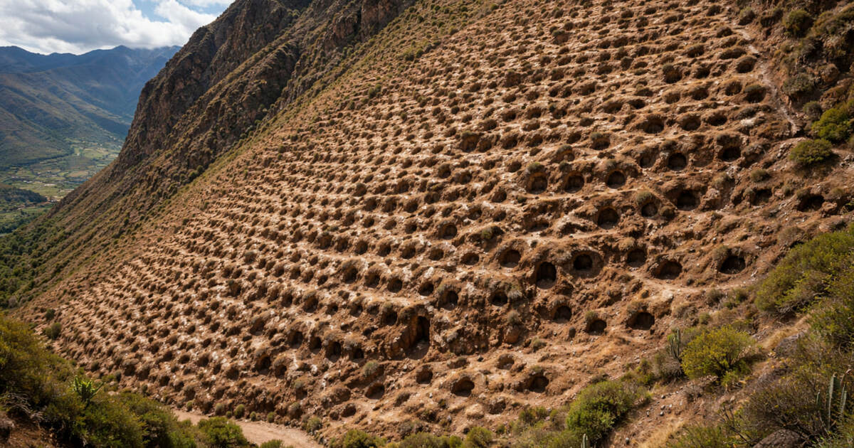 Antiquity: инки выкапывали ямы на горе, чтобы вести учет товаров Гора Монте‑Сьерпе в Перу, известная более чем п...