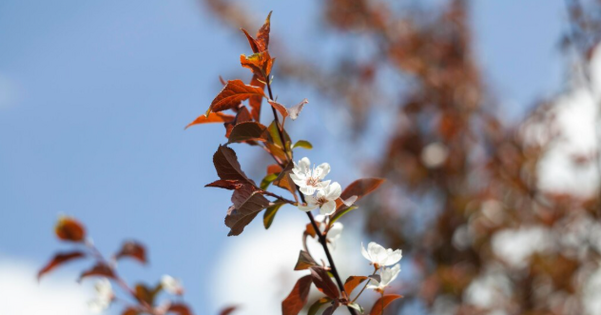 Скачки −30 и +20: погодные сюрпризы марта в Самарской области От зимы к весне: каким бывает март в Самарской ...