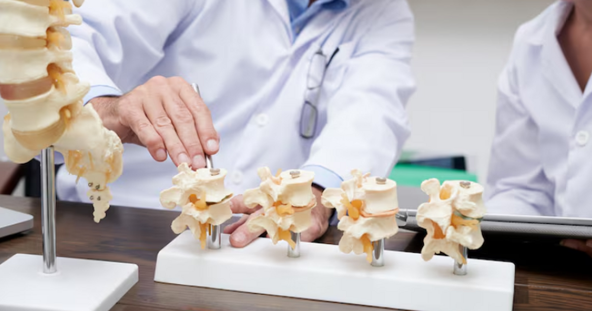 Учёные нашли новый механизм, который может помочь в лечении остеопороза Исследователи выявили рецептор, который регулир...