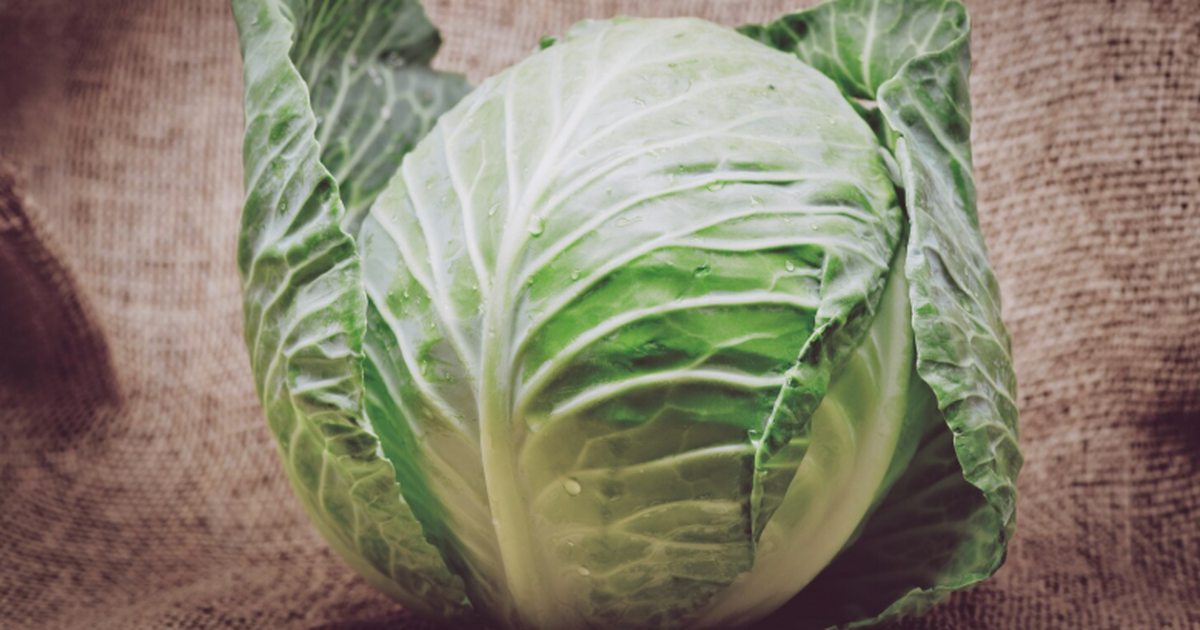 Экс-министр здравоохранения Олег Костин советуе...