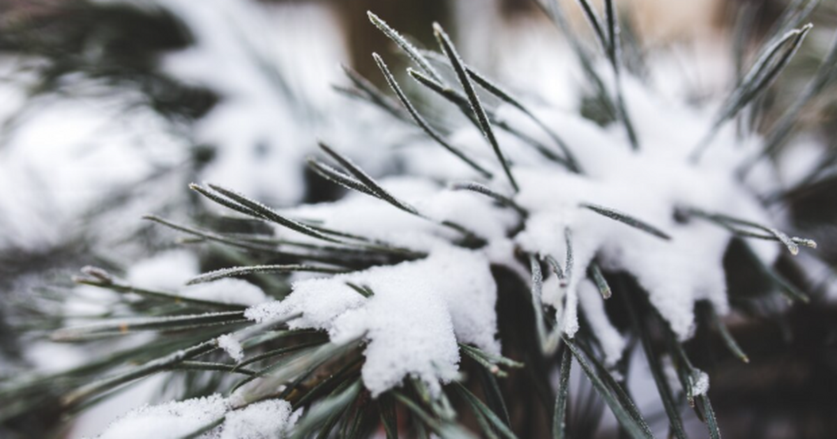 Зимой начнется то, чего не было с 1772 года: синоптики точно сообщили россиянам, к чему нужно готовиться Синоптики, на которых ссылается PRIMPRESS, рису...