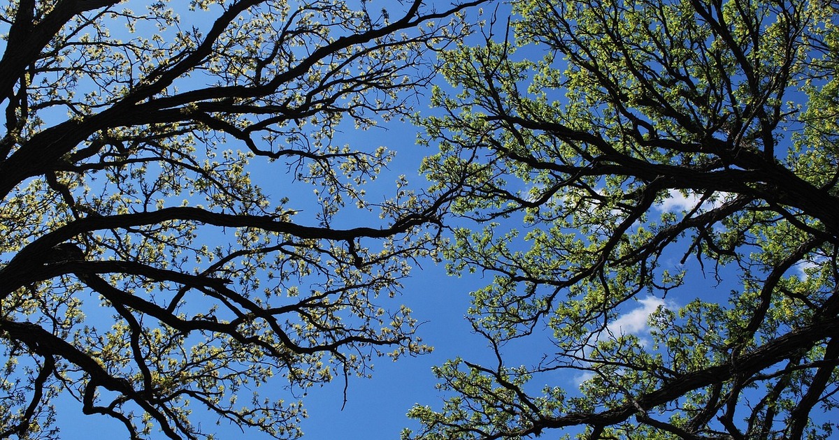 Суд не удовлетворил апелляцию по искам застройщ...